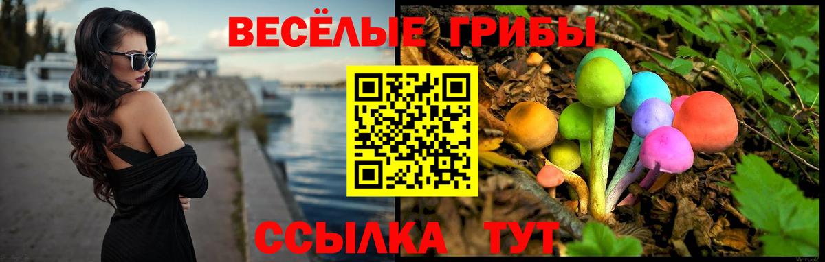 Псилоцибиновые грибы GOLDEN TEACHER Донской